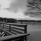 Winter  Findley Lake