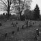 Hatch Hollow Cemetary