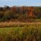Pennsylvanias Autumn Beauty , Why Did I Ever Leave ?