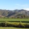 Valle de Mallarauco, alfalfal