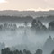 vista hacia volcan villarrica (bosque)