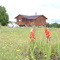 Nuestra casa en Río Toltén Cuicuicura - Coipue