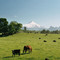 View to Volcano Villarica, Chile