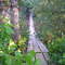 Puente Colgante, Acceso Casa Judith