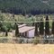 Nirivilo Barranca San Javier
