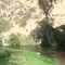 Camping La Gallardina, Monte Patria, Chile