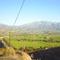 El Palqui