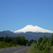 Volcan Llaima