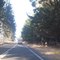 Autovía Cardenal Caro.  Pichilemu VI Región