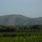 Cerro La Campana