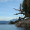 Se asoma el Villarrica