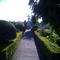 cementerio panguipulli