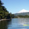Lago Calafquen, camino a Paguipulli