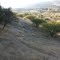 Viñas Campo