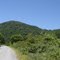 Camino por el valle del Caramávida, Ruta P-510, km 8 aprox.