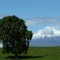 Vista del Volcán Osorno