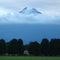 Volcan Osorno - Pto. Octay