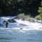 Pescando en Lago Cisnes