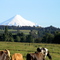 al lado del volcán