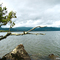 LA FAUCE DE LA RAMA, LAGO PUYEHUE, CHILE