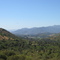 Valle en sector Ocoa, P. Nacional La Campana (V regiòn- Chile)