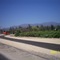 Camino