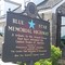 Blue Star History