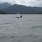 Orca en Melimoyu