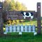 The biggest Milkfarm in Osorno / 900 ha