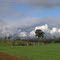 Campo