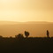 atardecer