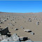 Atacama