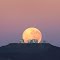 Very Large Telescope "VLT" (European Southern Observatory) Chile