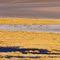Salar de Atacama (Chile)
