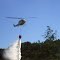 Combatiendo los Incendios Forestales