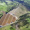 El Monje - Cranberry Farm. (vaccinium macrocarpon ait.)