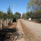 El Carmen, Cato, Chillán
