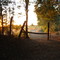 tarde en el campo