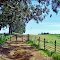 Camino campestre