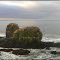 ► Aves en las rocas ®