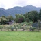 Fundo Reñihué jardín
