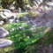 Termas de Porcelana