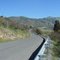 Camino Serpenteante