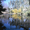 Reflejos en el Estero Manguaco