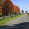 Whitestown Road