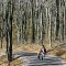 Moraine State Park - Bike Trail