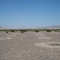 Bosque Nativo en la Cuenca del Río Copiapó