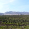 Valle de Copiapó