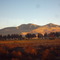 Valle de Copiapó
