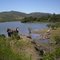 Embalse Callihue, Explorador Mauricio Coronado Maureira